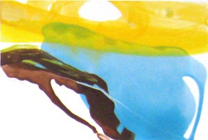 Costa del Sol 1----8.24 x 12